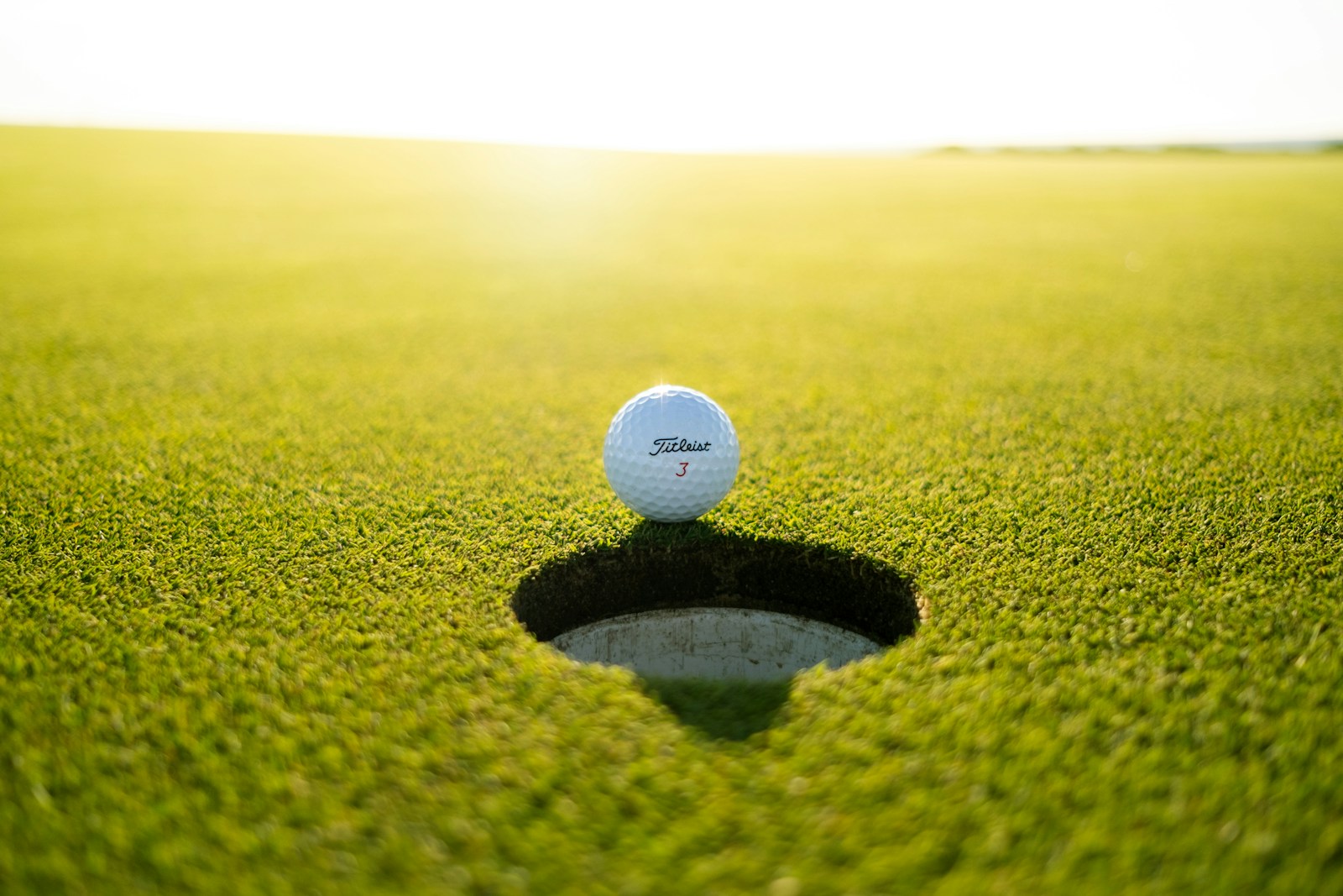 Golf courses and sports playgrounds maintenance UAE